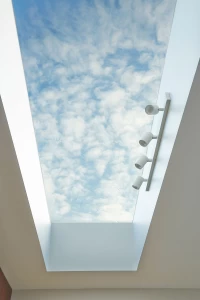 Rooflight