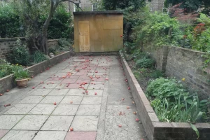 Rear garden