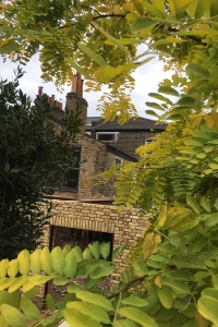 Rear extension