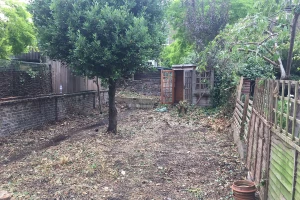 Garden clearance