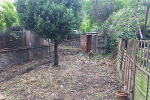 Garden clearance