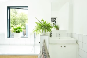 Basin enclosure & vanity cabinet