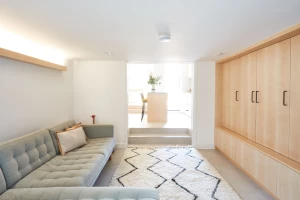 Basement family room