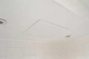 Boiler flue access hatch