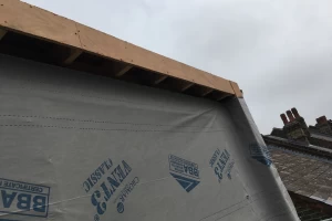 Projecting roof overhang