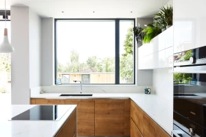 Kitchen window